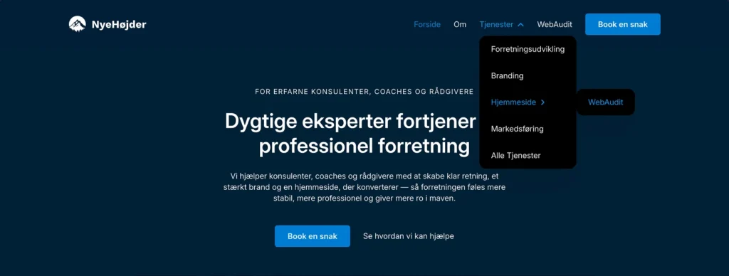 Den nuværende desktop-menu er kort og overskuelig, men WebAudit optræder både som hovedpunkt og som underside under Hjemmeside. Det gør strukturen en smule uklar, hvis WebAuditten skal fungere som et selvstændigt første skridt.