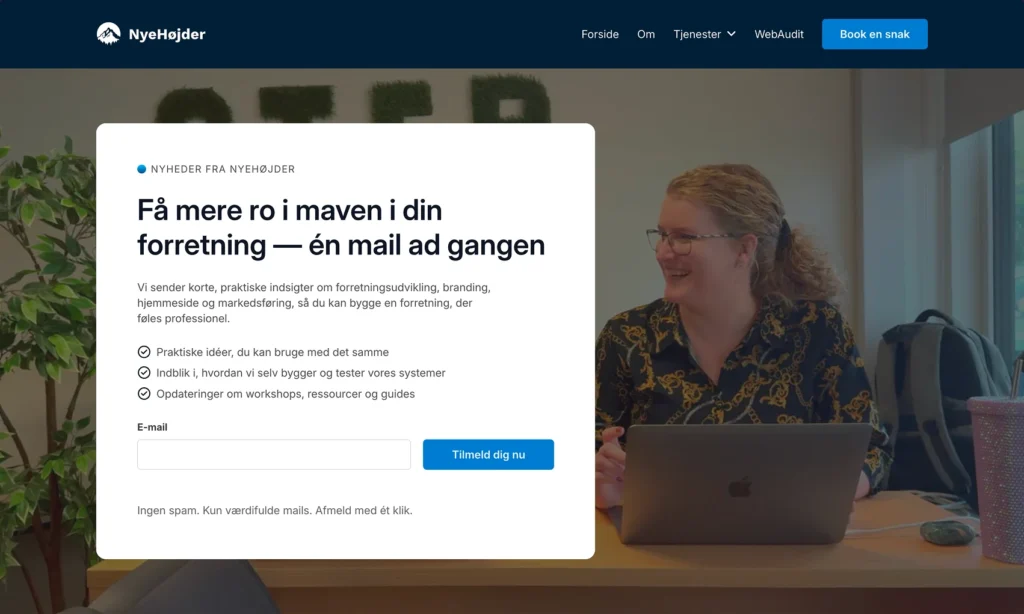 Accent-heading på nyhedsbrevssiden med den lille gradient-kugle