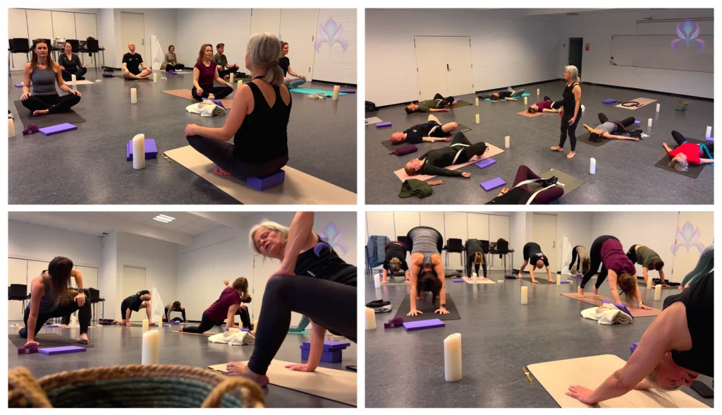 Eksempel på billedretning — firmayoga, privat yoga og events med ens beskæring/farvebehandling.